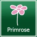 primrose.co.uk