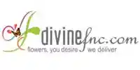 divinefnc.com